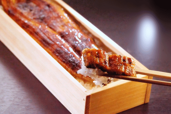 一本鰻のビジュアル