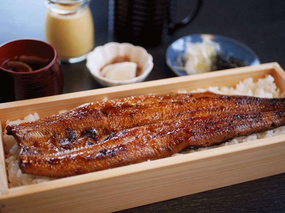 一本うなぎ御膳